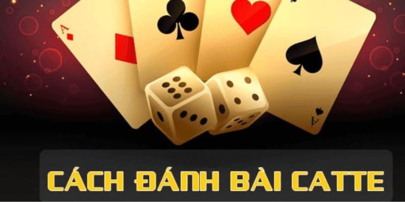 Luật chơi Catte 11bet cơ bản tân thủ cần biết